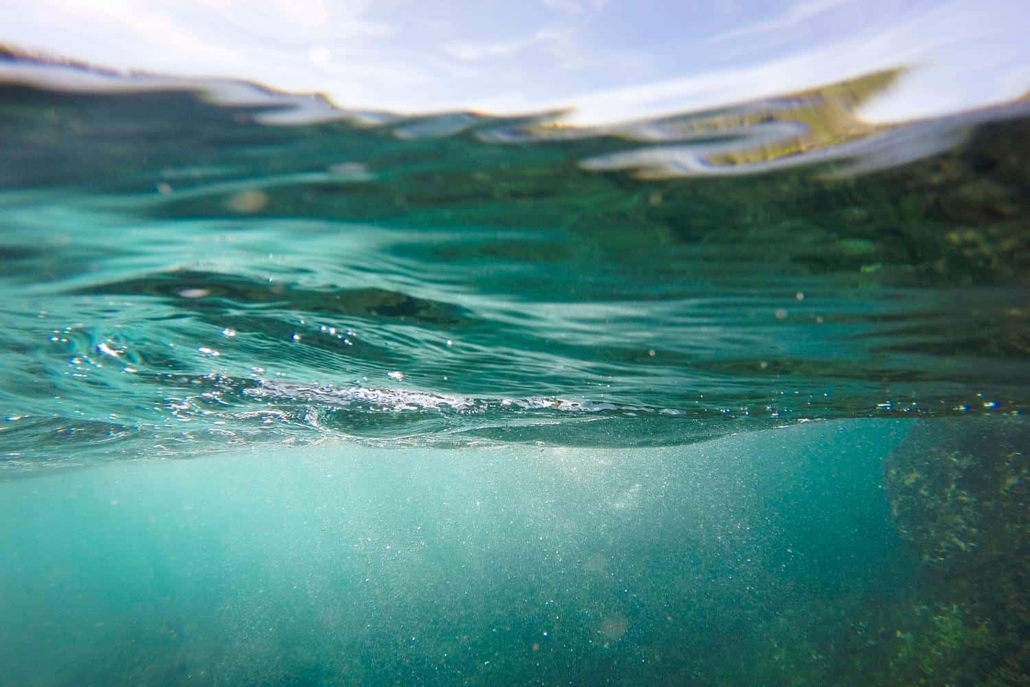 Water