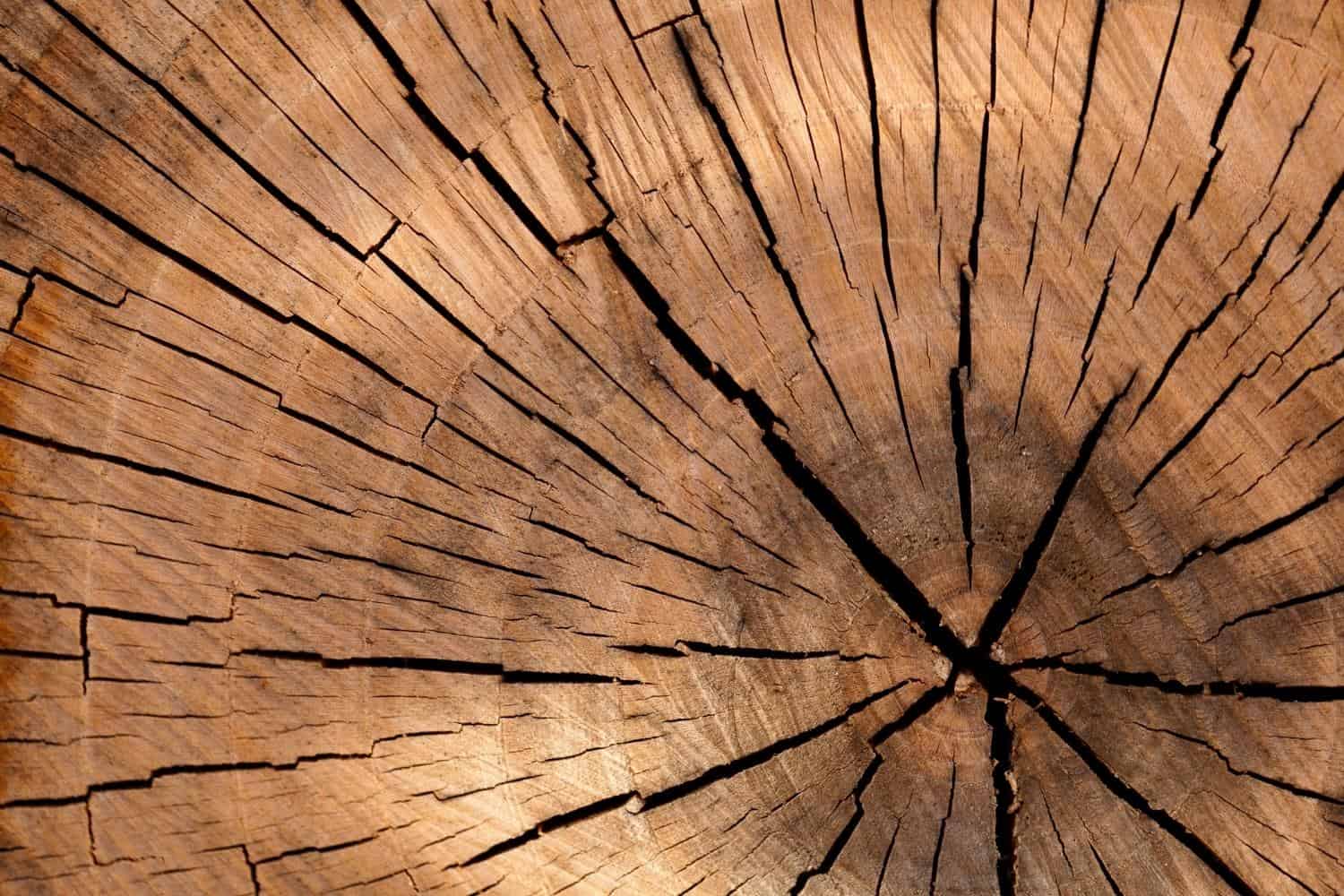 Wood